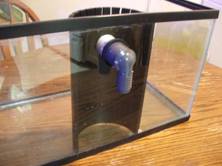 Want to Start a Marine Aquarium? A Step by Step Guide Page 2 Reef